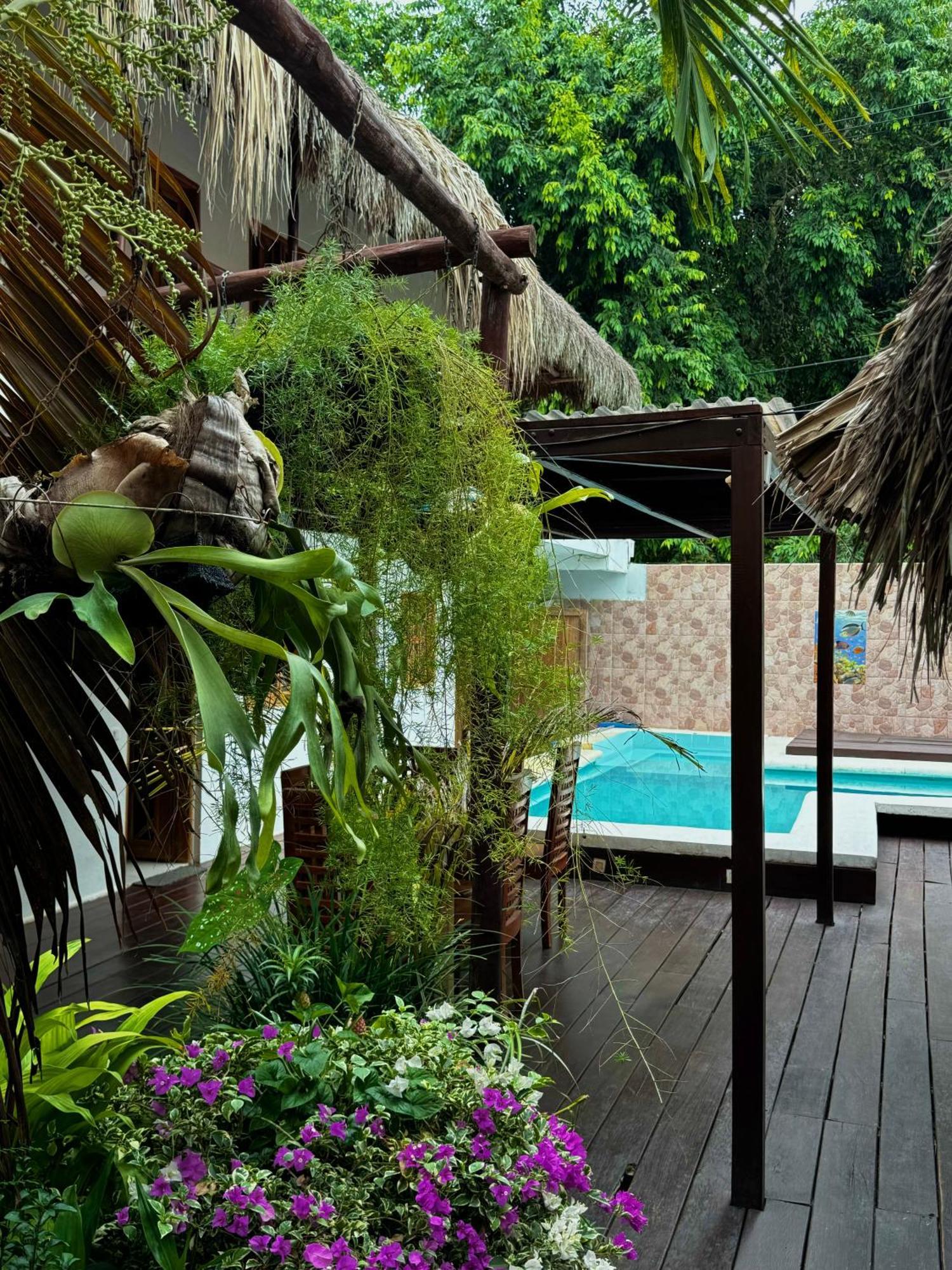 Hostal Nibuni Palomino Exterior photo