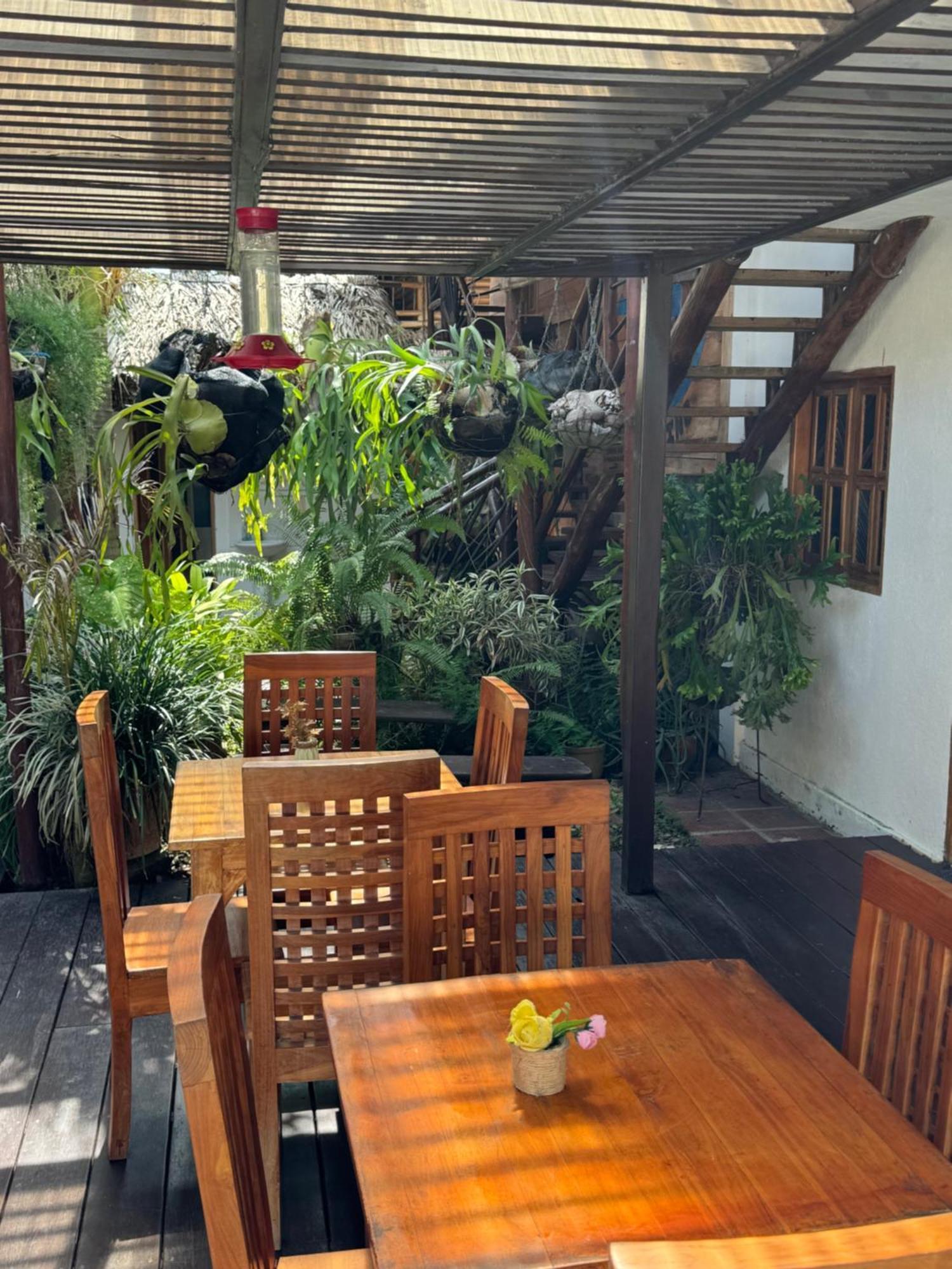 Hostal Nibuni Palomino Exterior photo