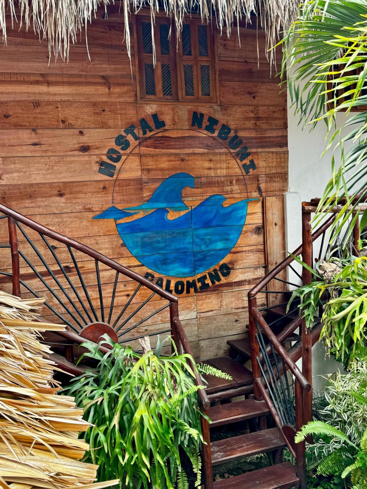 Hostal Nibuni Palomino Exterior photo